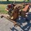 ih-700-7-bottom-plow-image-3