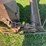 antique-box-blade-image-11