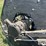 2005-case-ih-1020-image-10