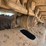 2015-caterpillar-323fl-image-23
