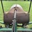 30-60-aultman-taylor-image-15