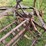 massey-harris-steel-wheel-side-rake-image-9