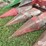 case-ih-1063-image-14