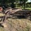 new-holland-55-image-1