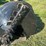 post-hole-auger-image-12