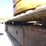 2012-caterpillar-303.5d-cr-image-29