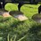 john-deere-2800-image-8