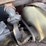 kubota-sr25-hydraulic-excavator-image-40