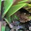 1980-john-deere-8640-image-20