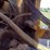 deere-544kii-image-19