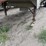 1995-wilson-grain-trailer-image-3