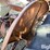 ford-tractor-image-19