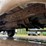 2000-ford-2000-image-27