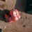 (6)-ratchet-straps-image-1