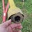 bush-hog-ht210-image-2