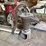 #3070-•-antique-kleenseal-pressure-tank-image-3