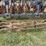 krause-dominator-7-shank-image-25