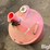 oil-drain-image-9