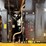 2012-caterpillar-930k-image-11