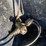 ace-hydraulic-pump-image-4