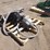 bobcat-463-skid-steer-auger-image-2