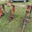 harriston-5000-12r22”-bean-knife,-with-front-tractor-dividers-image-13