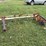 harriston-5200-image-8