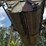 #130-•-sawdust-hoppers-image-3