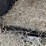 #6303-•-2003-hawk-horse-trailer,-(sells-with-paperwork-to-obtain-title-from-dmv)-image-21