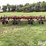 case-ih-5800-image-6