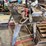 roller-table,-with-large-log-chain,-and-more,-buying-all-for-one-money-image-2