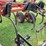 case-ih-5800-image-19