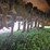 alloway-20-image-13