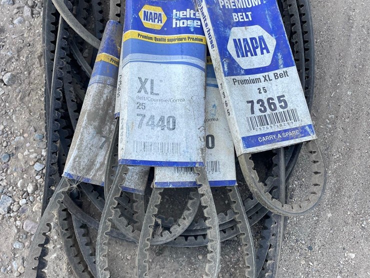 new-napa-belts-image-2