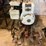 #3062-•-simplicity-5-hp-rototiller-image-6