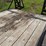 lamar-14’-tandem-axle-trailer,-2’-beavertail,-83”-wide,-5’x16”-steel-ramps,-8-bolt-hubs,-2-5/16”-bal-image-9