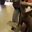 delta-8"-bench-grinder-w/-lamp-image-4