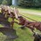 international-710-image-9