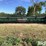 john-deere-925-image-2
