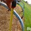 dmi-11-image-20