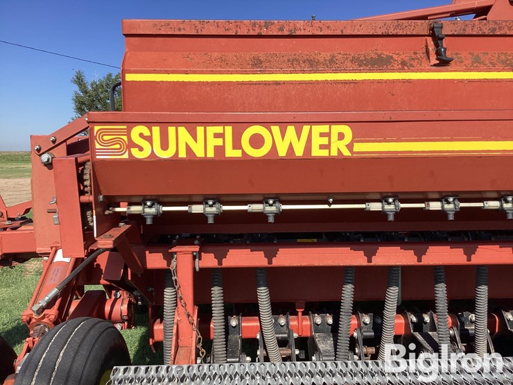 sunflower-9431-30-image-18