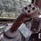 2022-deere-333g-image-10