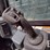2023-deere-331g-image-9