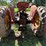 massey-harris-444-image-5
