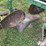 john-deere-612-image-16