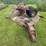 implement-transport-trailer-image-6