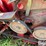 2001-case-ih-1020-image-10