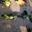 ryobi-cordless-weed-eater-&-hedge-trimmer-image-1