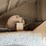 1995-wilson-grain-trailer-image-30