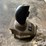 john-deere-5-image-2
